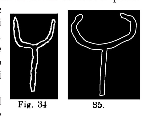 Fig. 34 e 35. Simboli di bovini. Fontanalba. Assai ridotte (Bicknell).