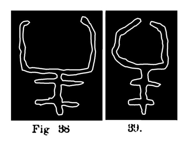 Fig. 38 e 39. Schemi o simboli di bovini. Fontanalba. Assai ridotti (Bicknell).