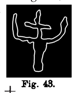 Fig. 43. Simbolo di bovino con segno numerico. Val d'Inferno. Lunghezza all'originale m. 0,15 (Rivière).
