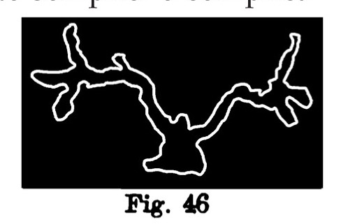 Fig. 46. Testa o teschio di cervo. Val d'Inferno. Larghezza all'origine m. 0,33 (Rivière).