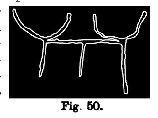 Fig. 50. Giogo con schemi di bovi. Fontanalba. Assai ridotta (Bicknell).